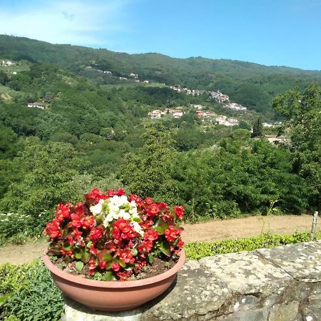 Villa Olivi Giampierone Экстерьер фото